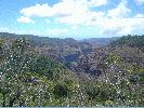 DSC00944~0.JPG