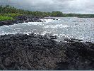 DSC01131.JPG