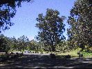 DSC01141.JPG