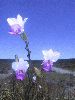 DSC01144.JPG