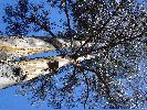 DSC01145.JPG