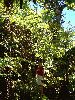 DSC01146.JPG
