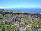DSC01150.JPG