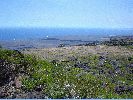 DSC01151.JPG