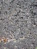 DSC01152.JPG
