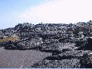 DSC01160a.JPG