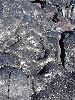 DSC01161.JPG