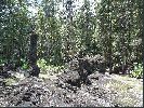 DSC01172.JPG