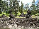 DSC01174.JPG