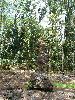 DSC01178.JPG