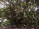 DSC01182a.JPG