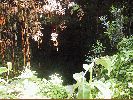 DSC01182b.JPG
