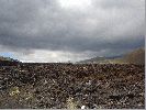 DSC01183.JPG