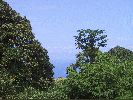DSC01184a.JPG