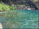 DSC01186.JPG
