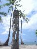 DSC01187.JPG