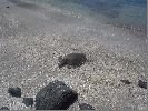 DSC01199.JPG