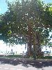 DSC01202.JPG