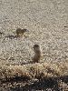 DSC01441a.JPG
