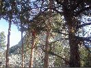 DSC01447.JPG