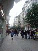 DSC01523.JPG