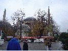 DSC01527.JPG