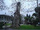 DSC01535.JPG
