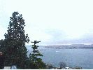 DSC01536~0.JPG