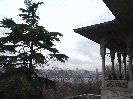 DSC01539~0.JPG