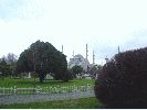 DSC01555.JPG