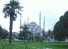 DSC01556a.jpg