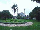 DSC01556~0.JPG