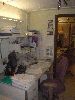 DSC01705.JPG