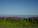 DSC01895.JPG