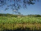 DSC02163.JPG