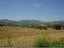 DSC02175.JPG