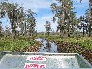 Filename=Going in the Swamp .JPG
Filesize=851KiB
Dimensions=1600x1200
Date added=Mar 10, 2004 Going in the Swamp .JPG