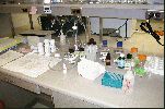 Filename=Histology II.jpg
Filesize=108KiB
Dimensions=806x533
Date added=Feb 04, 2004 Histology II.jpg