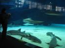 IMG_1342.JPG