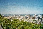 Montreal view II.jpg