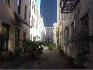 Filename=NewOrleansdowntownIII.jpg
Filesize=405KiB
Dimensions=1632x1224
Date added=Mar 10, 2004 NewOrleansdowntownIII.jpg