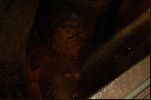 Niagra Cave IV.jpg