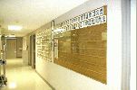 Wall of Fame III.jpg
