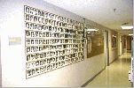 Wall of fame II.jpg