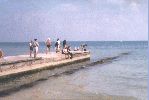 florida 018.jpg