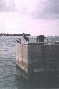 florida 019.jpg