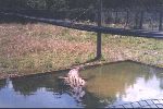 florida 027.jpg