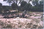 florida 029.jpg