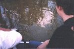 florida 033.jpg