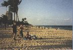 florida 053.jpg